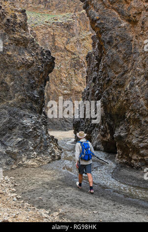 Uomo che cammina in Dungenee Gorge, Gobi Gurvansaikhan National Park, deserto dei Gobi e Mongolia Foto Stock