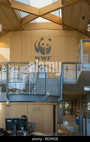 Interno del Living Planet Center, la casa del WWF UK (World Wildlife Fund) di Woking, Surrey, Regno Unito Foto Stock
