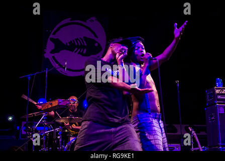 La band alternative rock Fishbone performing live a Kesselhaus, Berlin - Germania. Foto Stock