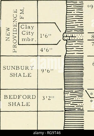 . Bollettini di American paleontologia. 176 Bollettino 196 località K-55. -1 &lt; X z &lt; &lt; 2 =â ¢ '^9. Scisto, argilloso, verde grigio; non misurata. Siltstone, calcarei, duro, buff. 7. Scisto, argilloso, buff grigio, weathered giallo. 6. Scisto,. nero, fissili; piede superiore weathered soft, caffè-colorato. *5. Contattare cucitura; scisto umido. :R- - â â *4. Scisto, Sandy, semi-fissile in parte; argilloso, Grigio oliva a buff a base. 47' J 3. Shale, nero, fissili; alto 5 piedi e inferiore 1 piedi campionato. *2. Scisto, argilloso, verde oliva. 1. Shale, nero, fissili; non misurata. Si prega di notare che queste immagini sono extr Foto Stock