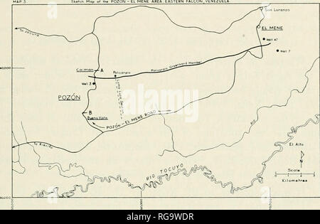 . Bollettini di American paleontologia. TOCUYO e formazioni POZON VENEZUELA: Colpo 71 La sezione tipo della formazione Pozon fu scelto da Renz lungo la Loma Luca traversa (vedi mappa 3), mentre la sezione tipo per il San Lorenzo la formazione è stato scelto a El Mene de Acosta. FALCON orientale. VENEZUELi. Renz (1948, pp.69-76) suddiviso ulteriormente il suo Robulus zona senni in tre "zonule": - Elphidium poeyanuw.-Reussella spinulosa zonule, Textularia panamensis zonule, superbus Vaginulinopsis-Trochamrnina cfr pacijica Zonule ma ha sottolineato che questi zonule potrebbe essere riconosciuto solo in P Foto Stock