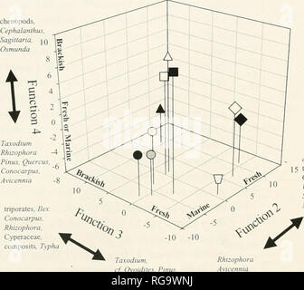 . Bollettini di American paleontologia. Bollettino 118 361. Gruppo di Cluster Membership â ¢ Cluster 1 o 2 Cluster o Cluster 3 palude di mangrovie â ¦ Cluster 4 o 5 Cluster di palude di acqua dolce â Cluster 6 Cluster D 7 Headwater Marsh â² Cluster 8 Cluster 9 acque salmastre e la palude di transizione o Cluster 10 Lpland cj Choidites. 1 5 tnporates. Cyperaceae. I finlandesi, Ulncttlaria, Sagillana, ninfei, Ilex percento della funzione di varianza 1 = 56.76 Funzione 2= 18.59 Funzione 3 = 10.39 Funzione 4 = 6.82 TtLxoilium. cf Ovoidjres. Piiius. Nvmpliaeci, chenopods. Urricularia. Testo Sagitlaria-figura 6.âThree-dimensionale di trama di amb. Foto Stock