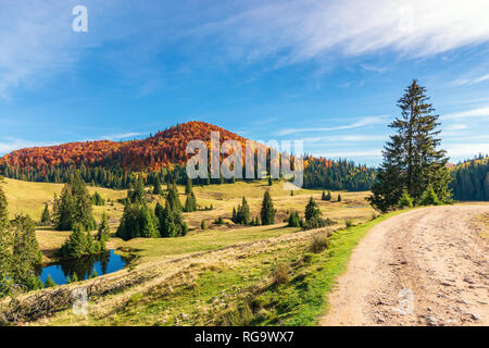 Mattinata soleggiata in autunno in montagna. bellissimo paesaggio con bosco di faggio in rosso fogliame sulla collina verde abete rosso nella valle vicino a pon Foto Stock