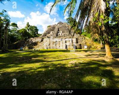 America centrale, il Belize, la penisola dello Yucatan, New River, Lamanai, Maya rovina, tempio alta Foto Stock