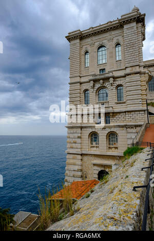 Il Principato di Monaco e Monte Carlo, Le Rocher, Cote d'Azur, Museo Oceanografico Foto Stock