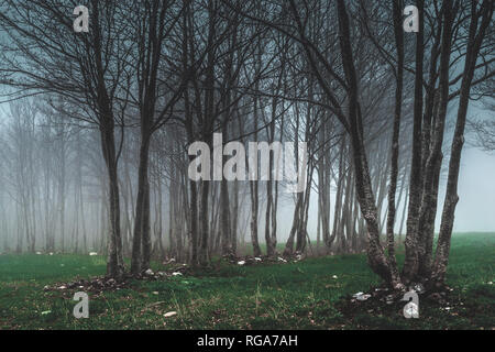 Il Parco Nazionale del Pollino Foto Stock