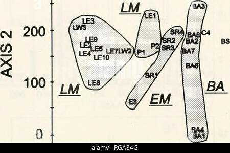 . Bollettini di American paleontologia. Bollettino 148 357 300. 100 200 asse1 300 B CM CO 400 300 200 LMm 100 EM ^!Se^ C4 BS 0 ^ -- /^/BA (baism/ ^-1-1-1-1-1-1 1 1 0 100 200 300 400 asse1 Testo-figura 12.-Scatterplots di DCA punteggi per Costa Rican lo- calities determinato: (A) utilizzando i dati binari per 27 località. (B) utilizzando la relativa abbondanza di dati di codice dopo il 10 ravvicinati località in Lomas del Mar tendenza sono state rimosse dal set di dati. Ogni punto rappresenta una località, le abbreviazioni per i quali sono indicati nella tabella 1. Come nel testo-figura 10, zone ombreggiate località encompass entro il Foto Stock