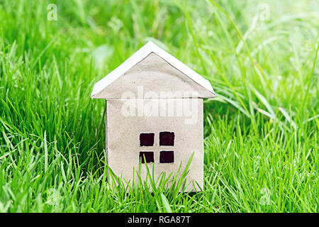 Casa di cartone in erba. La costruzione del paese ecologico alloggiamento Foto Stock