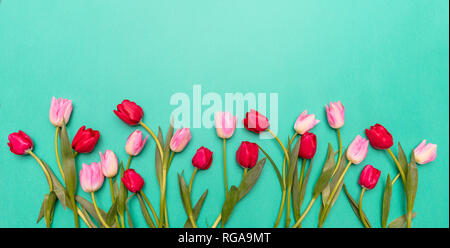 Primavera, Pasqua concetto. Rosa e tulipani rossi su sfondo verde, vista dall'alto, spazio di copia Foto Stock