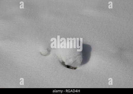 Inverno meteo neve embankment durante il Chicago's chiberia #polarvortex Arctic Blast. Foto Stock