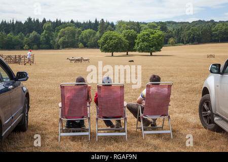 Tre giovani uomini in sedie sdraio a guardare il cane di pecora prove a Hambleden vicino a Henley-on-Thames, Oxfordshire Foto Stock