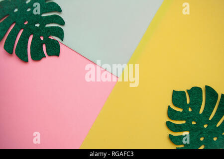 Foglie di monstera su uno sfondo colorato in stile minimal. In mezzo vi è un posto per il testo. Foto Stock