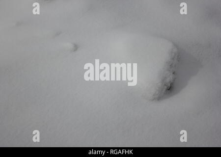 Inverno meteo neve embankment durante il Chicago's chiberia #polarvortex Arctic Blast. Foto Stock