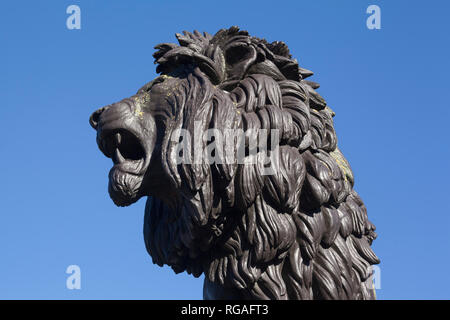La testa della statua di bronzo di The Forbury Lion in Forbury Gardens, Reading, Berkshire Foto Stock