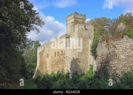 Il castello di Eckartsburg in Sassonia-Anhalt in Germania Foto Stock