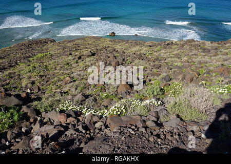 Blick von den Riscos de Famara, Lanzarote, Kanarische isole, Spanien Foto Stock