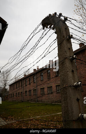 Da dentro il campo di concentramento di Auschwitz. Foto Stock