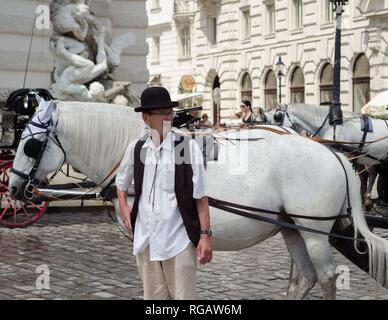 Il driver attende con i suoi cavalli per i clienti di Vienna in Austria. Foto Stock