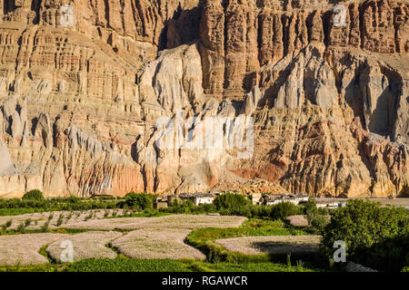 Vista sul case e il settore agricolo nei dintorni del villaggio con verdi campi di orzo nella Kali Gandaki valley, colorato ripide pareti rocciose in Foto Stock