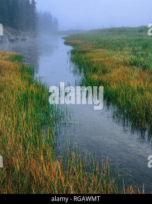 Snake River Basin, Rockefeller Parkway, adiacente al Grand Teton e dei parchi nazionali di Yellowstone Foto Stock