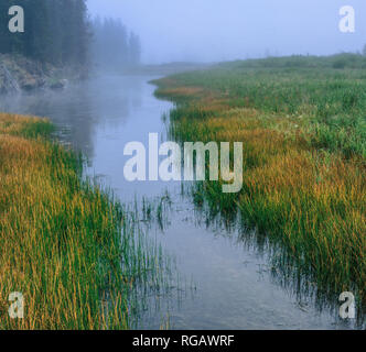 Snake River Basin, Rockefeller Parkway, adiacente al Grand Teton e dei parchi nazionali di Yellowstone Foto Stock