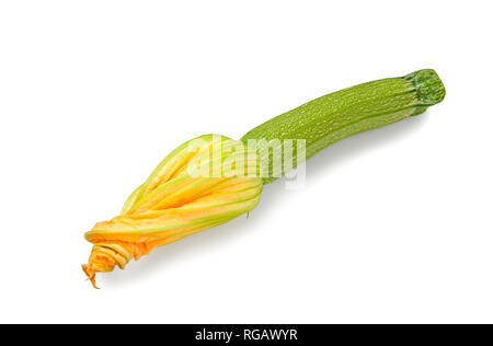 Squash blossom isolati su sfondo bianco Foto Stock