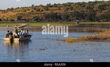 Tourist crociera sul fiume cimentandosi in barca fino a un coccodrillo dorme sul fiume Zambesi, Chobe National Park, Botswana, Africa. Foto Stock