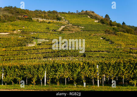 Durnstein sulle rive del fiume Danubio Austria Foto Stock