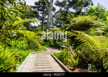 6 maggio 2018 San Francisco / CA / STATI UNITI D'AMERICA - passerella in legno serpeggianti attraverso un lussureggiante paesaggio nel Giardino Botanico Situato in Golden Gate Park; infor Foto Stock