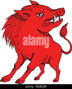 Doodle arte illustrazione di un rosso razorback, maiale selvatico Cinghiale o Maiale guardando al lato isolato sul fatto di sfondo in colore rosso brillante stile colorcaricature. Illustrazione Vettoriale