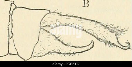 . Bollettino del Wisconsin Natural History Society. Storia naturale -- Wisconsin. D. Si prega di notare che queste immagini vengono estratte dalla pagina sottoposta a scansione di immagini che possono essere state migliorate digitalmente per la leggibilità - Colorazione e aspetto di queste illustrazioni potrebbero non perfettamente assomigliano al lavoro originale. Wisconsin Natural History Society. Milwaukee, la società Foto Stock