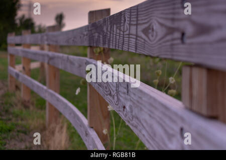 Un paddock in legno recinto con 3 ringhiere e posti lungo un percorso in un parco che separa un campo selvatico. Foto Stock