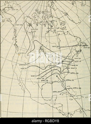 . Bollettino dell'U.S. Dipartimento di Agricoltura. Agricoltura; l'agricoltura. 14 Bollettino 185, TJ. S. DIPARTIMENTO DI AfiRICULTURE. questa stessa direzione attraverso il Golfo di Messico orientale. Gli uccelli del centro del Mississippi Valley andare verso sud e sopra il GuK. Gli uccelli tra il Missouri e il bordo della pianura e quelli. Fig. 5.âMigration del nero-poll trillo {Dendroica striata). Questa è una notte migrante e vola direttamente attraverso il West Indies in antitesi alla scogliera swallow (fig. 6), che è un giorno migranti e mosche intorno al golfo del Messico (vedere p. 19). L'HEA^â y Sol Foto Stock