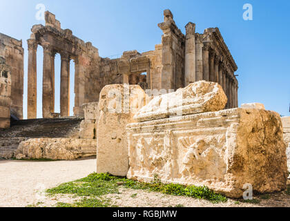 Antica scultura in pietra di un leone sdraiato davanti al tempio di Bacco, Heliopolis rovine romane, Baalbek, Libano Foto Stock