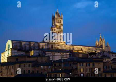 Vista notturna del Duomo di Siena, Toscana, Italia Foto Stock