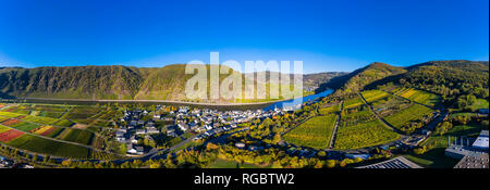 Germania, Cochem-Zell, Biedern, vigneti, Rueberberger Domherrenberg Foto Stock