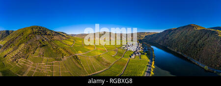 Germania, Cochem-Zell, Biedern, vigneti e Rueberberger Domherrenberg Foto Stock