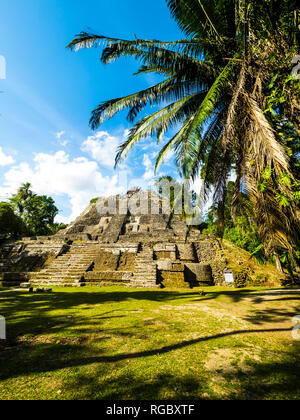 America centrale, il Belize, la penisola dello Yucatan, New River, Lamanai, Maya rovina, tempio alta Foto Stock