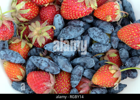 Ancora in vita, con frutta piatto assortiti con molto appetitosi mature fragola e caprifoglio isolato ob sfondo bianco studio shot top view closeup Foto Stock