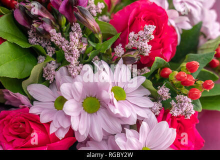 Sfondo di vari fiori di diversi colori di close-up Foto Stock