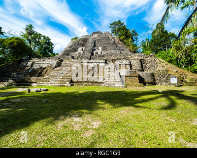 America centrale, il Belize, la penisola dello Yucatan, New River, Lamanai, Maya rovina, tempio alta Foto Stock