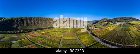 Germania, Cochem-Zell, Biedern, vigneti, Rueberberger Domherrenberg Foto Stock