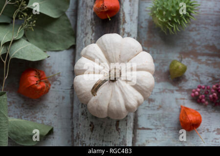 Decorazione autunnale con bianco zucca decorativa, le lanterne cinesi, e foglie Foto Stock