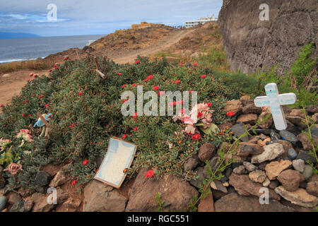 Animali domestici il cimitero di Tenerife, Callo salvaje Foto Stock