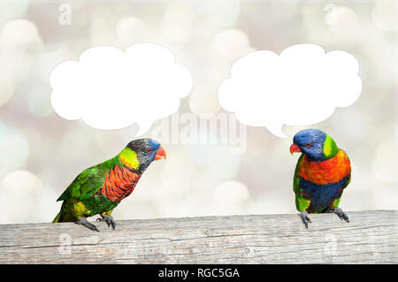 Parrocchetti in conversazione sul tronco di albero Foto Stock