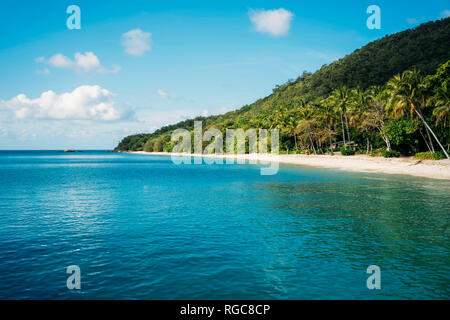 Australia, Fitzroy Island National Park, isola tropicale, parte del Great Barrier Reef Marine Park con spiaggia con palme Foto Stock