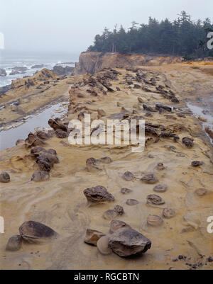 Stati Uniti d'America, Oregon, Shore acri del parco statale di luce morbida definisce i dettagli di eroso formazione di arenaria mentre la nebbia oscura la Pacific surf e distante Sitka Spruce Foto Stock