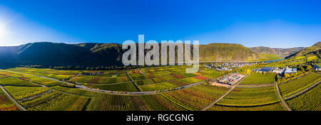 Germania, Cochem-Zell, Biedern, vigneti, Rueberberger Domherrenberg Foto Stock