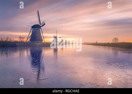 Paesi Bassi, Olanda, Rotterdam Kinderdijk in serata Foto Stock