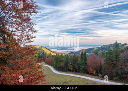 In Germania, in Baviera, Aschau, Autunno foresta, vista di Chiemsee la sera Foto Stock